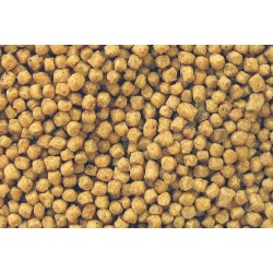 KOIPROFESSIONAL GERME DI GRANO 6MM – 1 KG